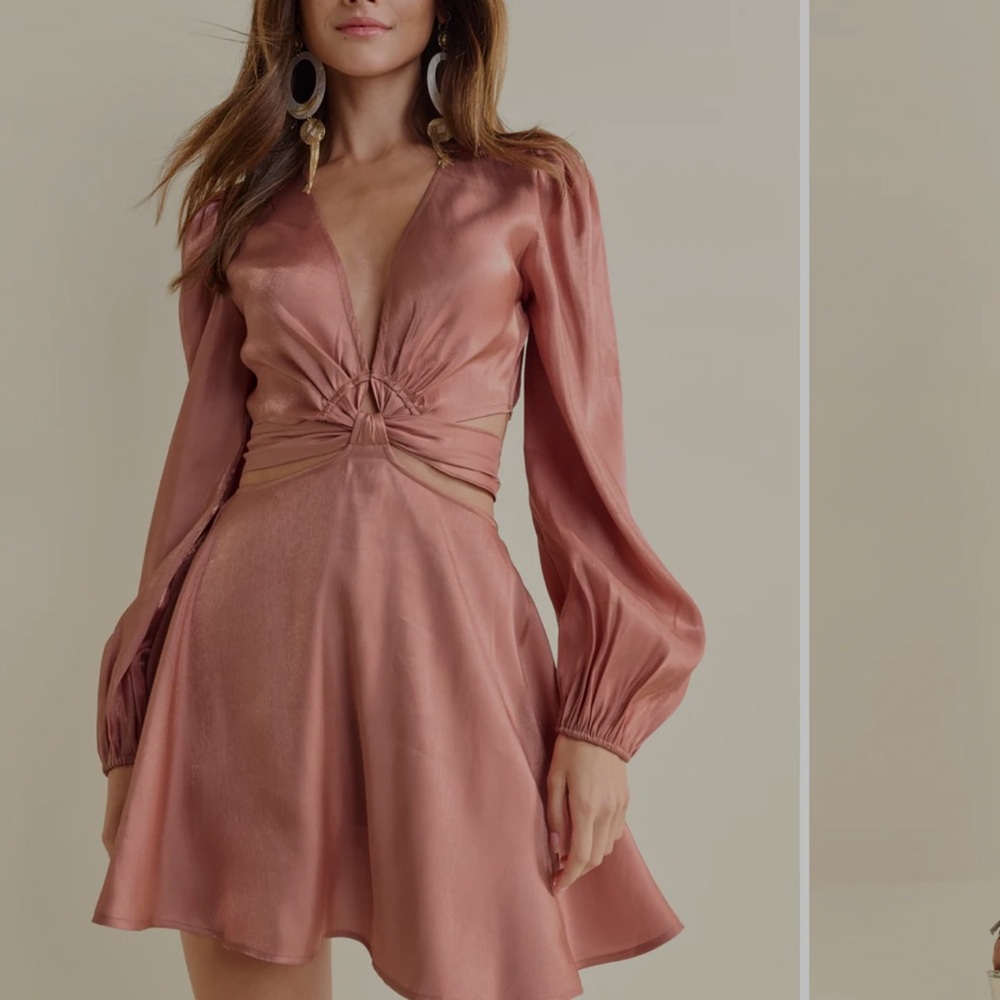 VENUS Blush Long Sleeve Dress